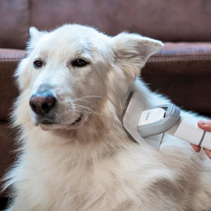 TESLA Electronics PetCare - Набор для ухода за домашними животными 300W/230V