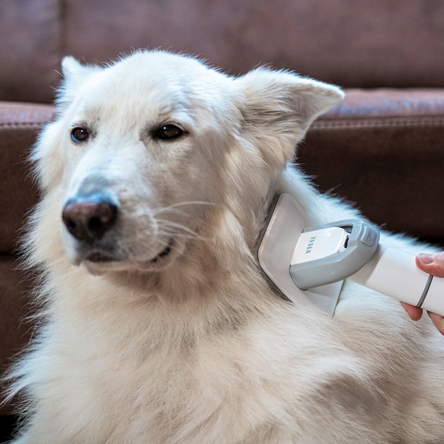 TESLA Electronics PetCare - Набор для ухода за домашними животными 300W/230V