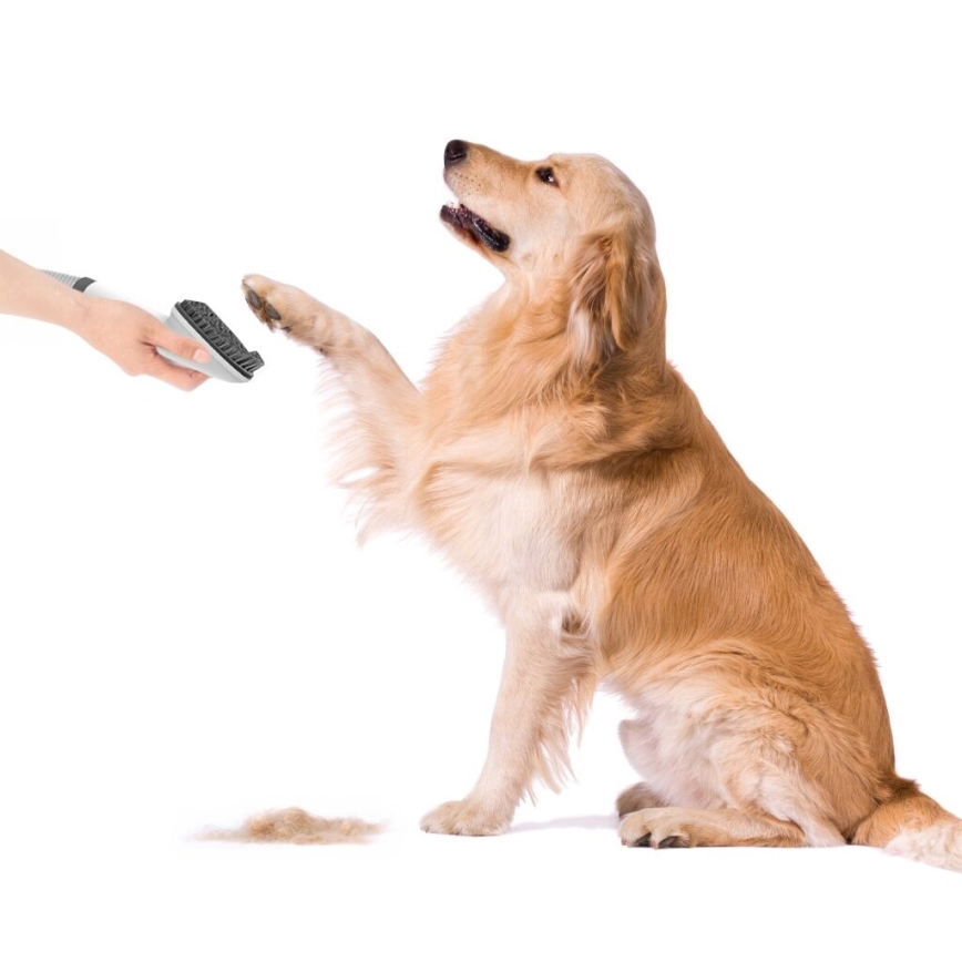 TESLA Electronics PetCare - Набор для ухода за домашними животными 300W/230V