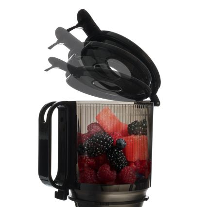 TESLA Electronics SlowJuicer Deluxe - Низькошвидкісна шнекова соковижималка 250W/230V нержавіюча сталь/чорний