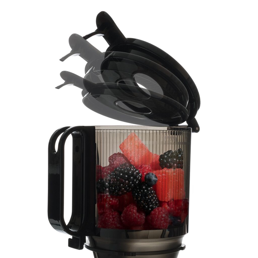 TESLA Electronics SlowJuicer Deluxe - Низкоскоростная соковыжималка 250W/230V нержавеющая сталь/черный