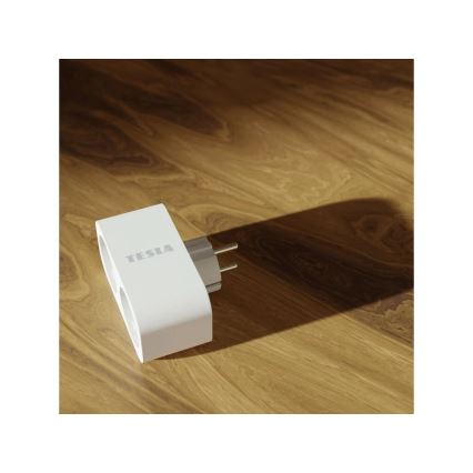 TESLA Smart - Розумна розетка-розгалужувач 2x16A/230V Тип F Wi-Fi Tuya
