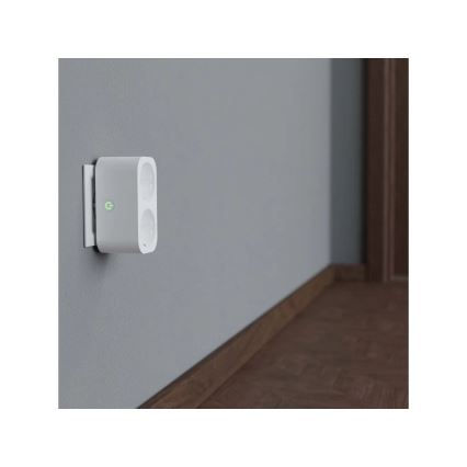 TESLA Smart - Розумна розетка-розгалужувач 2x16A/230V Тип F Wi-Fi Tuya