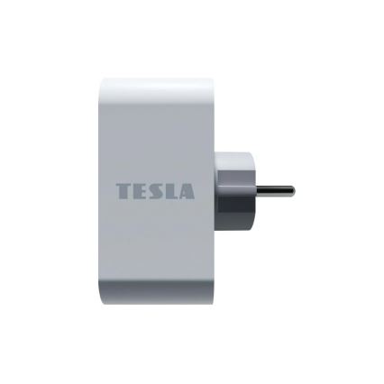 TESLA Smart - Розумна розетка-розгалужувач 2x16A/230V Тип F Wi-Fi Tuya