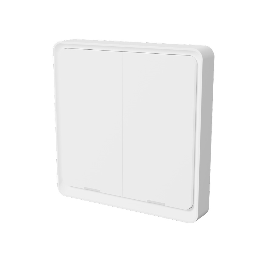 TESLA Smart - Розумний бездротовий домашній вимикач 2P 1xCR2430 ZigBee