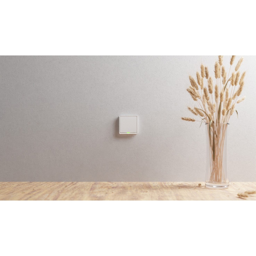TESLA Smart - Розумний домашній вимикач 1P 230V Zigbee