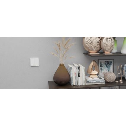 TESLA Smart - Розумний домашній вимикач 1P 230V Zigbee
