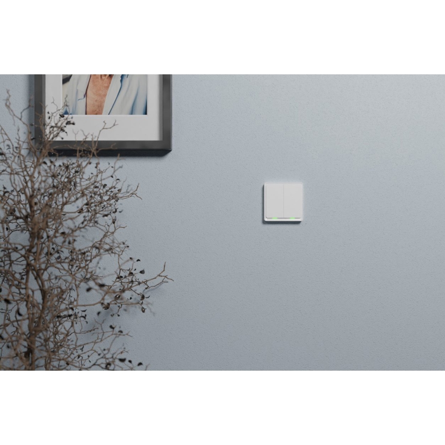TESLA Smart - Розумний домашній вимикач 2P 230V Zigbee