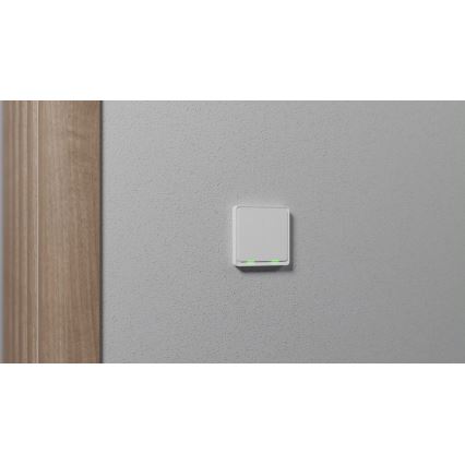 TESLA Smart - Розумний домашній вимикач 2P 230V Zigbee