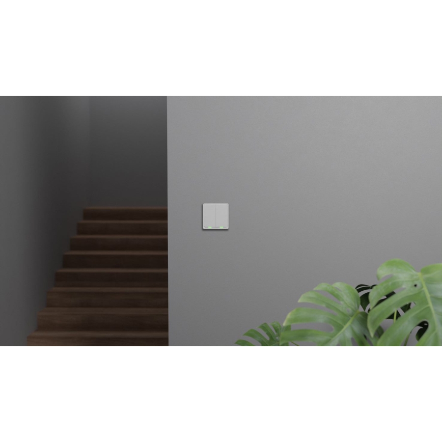 TESLA Smart - Розумний домашній вимикач 2P 230V Zigbee
