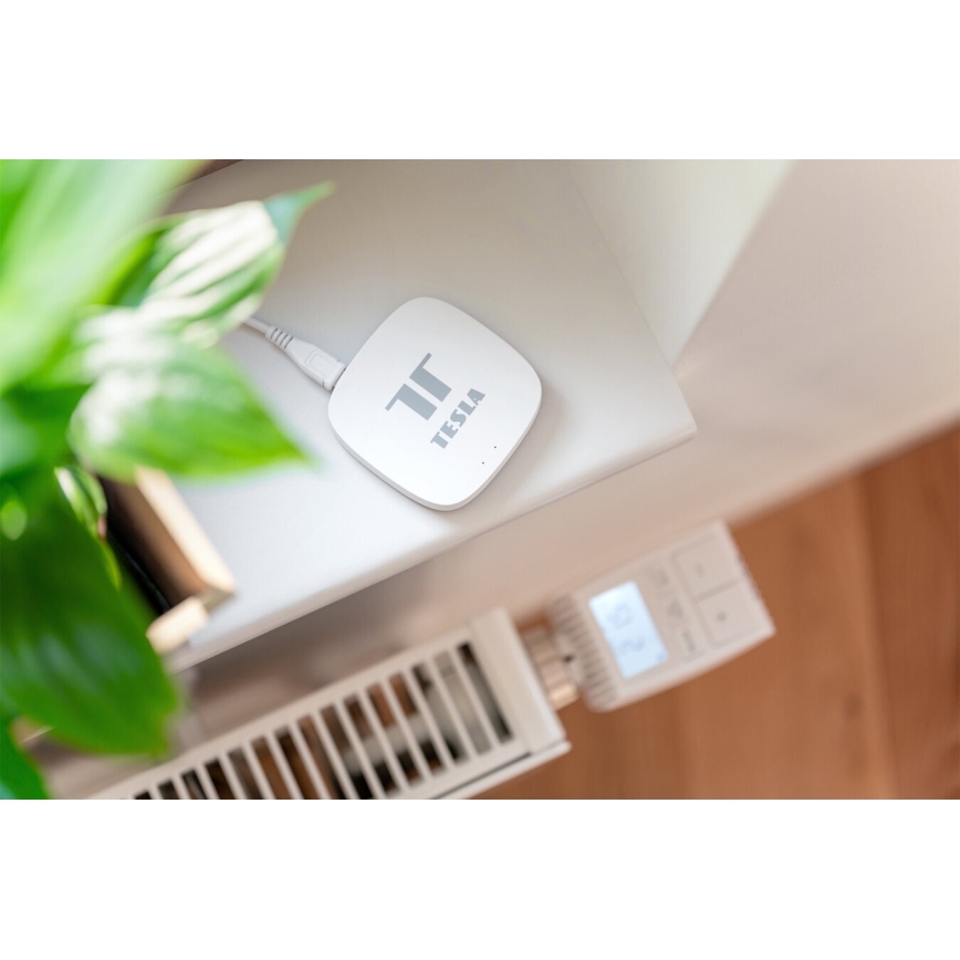 TESLA Smart - Розумний шлюз для керування Hub Smart Zigbee Wi-Fi