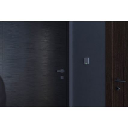 TESLA Smart - Розумний домашній вимикач 1P 230В Wi-Fi