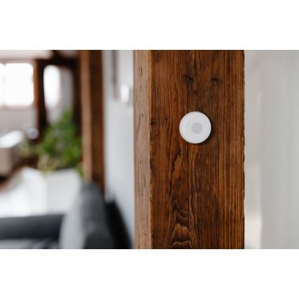 TESLA Smart - Умная кнопка 1xCR2032 Zigbee