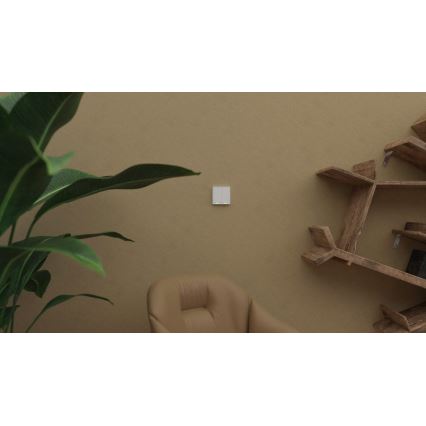 TESLA Smart - Умный беспроводной домашний выключатель 2P 1xCR2430 ZigBee
