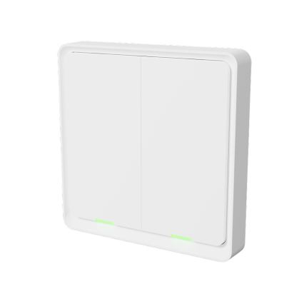 TESLA Smart - Умный беспроводной домашний выключатель 2P 1xCR2430 ZigBee