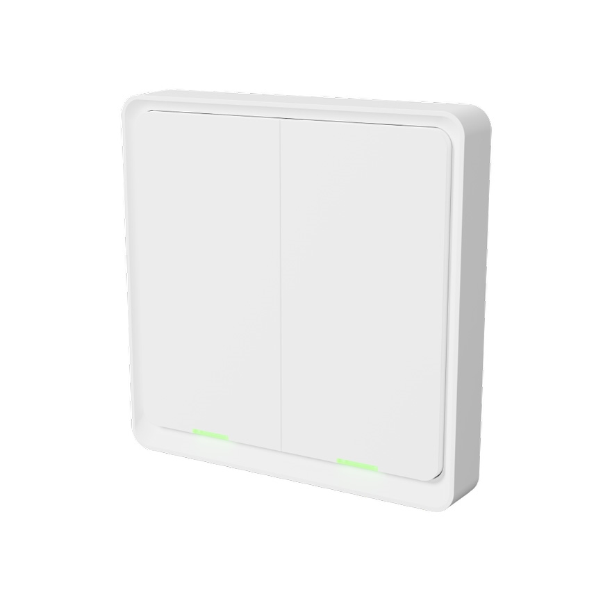 TESLA Smart - Умный беспроводной домашний выключатель 2P 1xCR2430 ZigBee