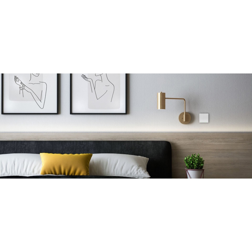 TESLA Smart - Умный беспроводной домашний выключатель 2P 1xCR2430 ZigBee