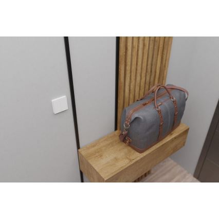 TESLA Smart - Умный беспроводной домашний выключатель 2P 1xCR2430 ZigBee