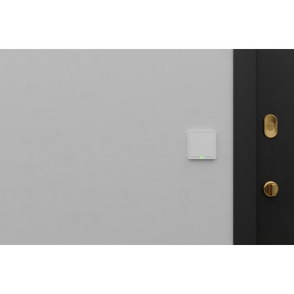 TESLA Smart - Умный домашний выключатель 1P 230V Wi-Fi