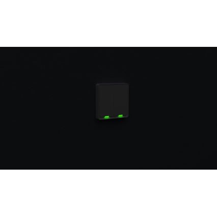 TESLA Smart - Умный домашний выключатель 2P 230V Wi-Fi