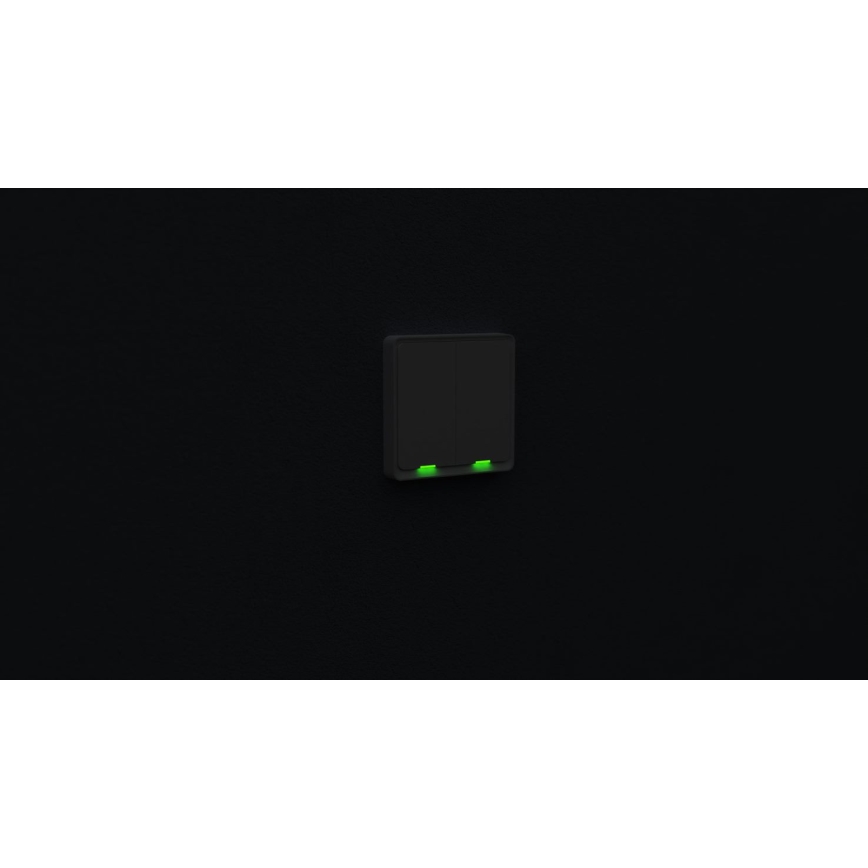 TESLA Smart - Умный домашний выключатель 2P 230V Wi-Fi