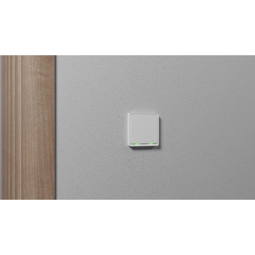 TESLA Smart - Умный домашний выключатель 2P 230V Zigbee