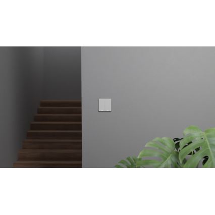 TESLA Smart - Умный домашний выключатель 2P 230V Zigbee