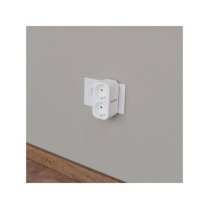 TESLA Smart - Умный сетевой разветвитель 2x16A/230V Тип F Wi-Fi Tuya