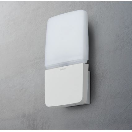 theben - LED настінний прожектор LED/11W/230V білий IP55