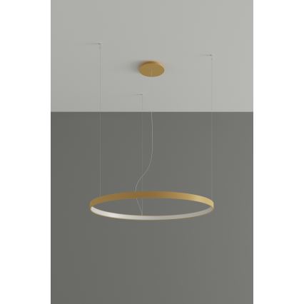 Thoro TH.174 - Светодиодная подвесная люстра RIO LED/50W/230V CRI 90 3000K диаметр 78 см золотистый