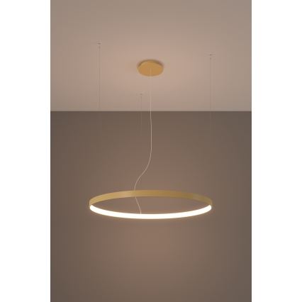 Thoro TH.174 - Светодиодная подвесная люстра RIO LED/50W/230V CRI 90 3000K диаметр 78 см золотистый