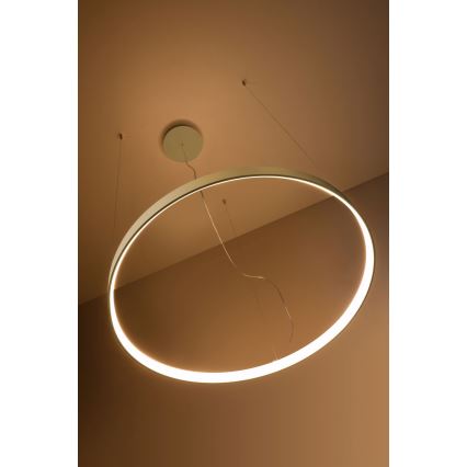 Thoro TH.174 - Светодиодная подвесная люстра RIO LED/50W/230V CRI 90 3000K диаметр 78 см золотистый