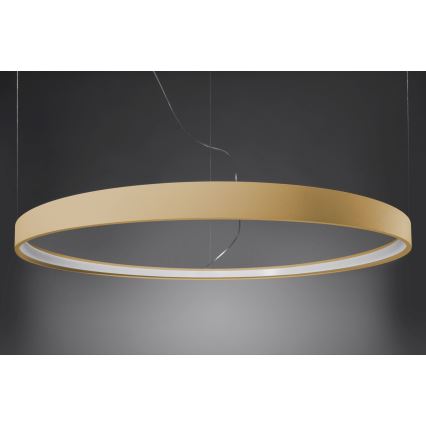 Thoro TH.174 - Светодиодная подвесная люстра RIO LED/50W/230V CRI 90 3000K диаметр 78 см золотистый