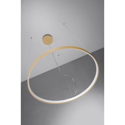 Thoro TH.174 - Светодиодная подвесная люстра RIO LED/50W/230V CRI 90 3000K диаметр 78 см золотистый