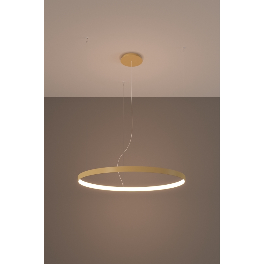 Thoro TH.174 - Світлодіодна підвісна люстра RIO LED/50W/230V CRI 90 3000K діаметр 78 см золотий