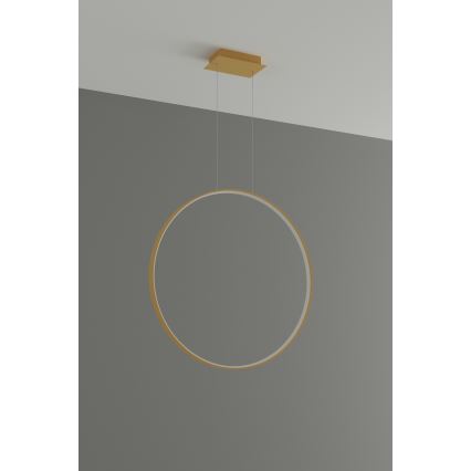 Thoro TH.175 - Світлодіодна підвісна люстра RIO LED/50W/230V CRI 90 3000K діаметр 78 см золотий