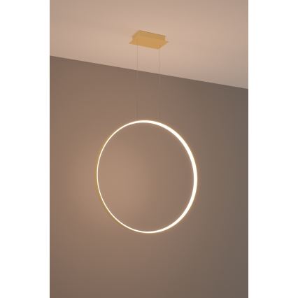 Thoro TH.175 - Світлодіодна підвісна люстра RIO LED/50W/230V CRI 90 3000K діаметр 78 см золотий