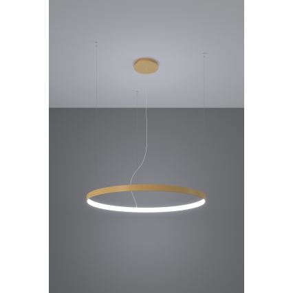 Thoro TH.181 - Светодиодная подвесная люстра RIO LED /50W/230V CRI 95 4000K диаметр 78 см золотистый