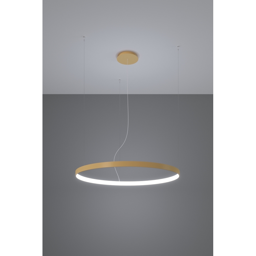 Thoro TH.181 - Светодиодная подвесная люстра RIO LED /50W/230V CRI 95 4000K диаметр 78 см золотистый