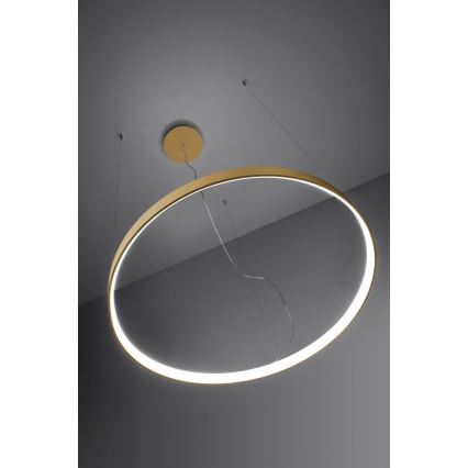 Thoro TH.181 - Светодиодная подвесная люстра RIO LED /50W/230V CRI 95 4000K диаметр 78 см золотистый