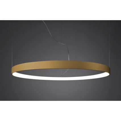 Thoro TH.181 - Светодиодная подвесная люстра RIO LED /50W/230V CRI 95 4000K диаметр 78 см золотистый