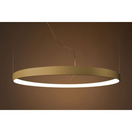 Thoro TH.216 - Светодиодная подвесная люстра RIO LED/30W/230V CRI 90 3000K диаметр 55 см золотистый