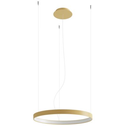 Thoro TH.216 - Светодиодная подвесная люстра RIO LED/30W/230V CRI 90 3000K диаметр 55 см золотистый