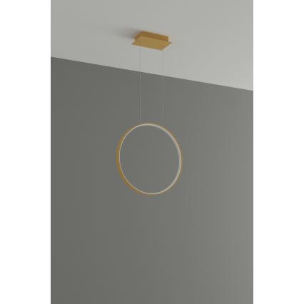 Thoro TH.220 - Светодиодная подвесная люстра RIO LED/30W/230V CRI 90 3000K диаметр 55 см золотистый