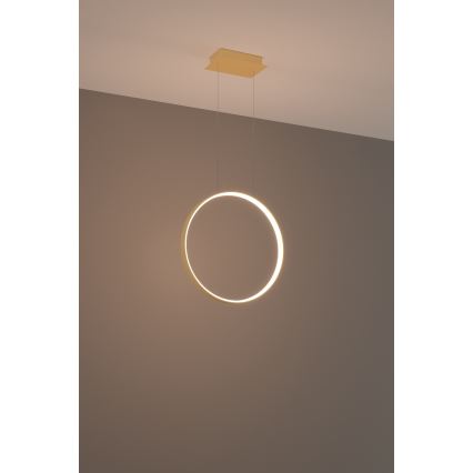 Thoro TH.220 - Светодиодная подвесная люстра RIO LED/30W/230V CRI 90 3000K диаметр 55 см золотистый