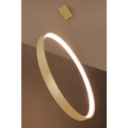 Thoro TH.220 - Светодиодная подвесная люстра RIO LED/30W/230V CRI 90 3000K диаметр 55 см золотистый