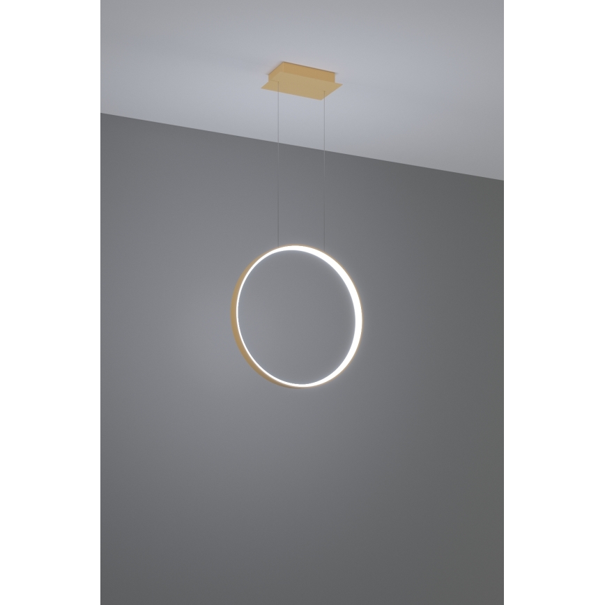 Thoro TH.221 - Светодиодная подвесная люстра RIO LED/30W/230V CRI 95 4000K диаметр 55 см золотистый