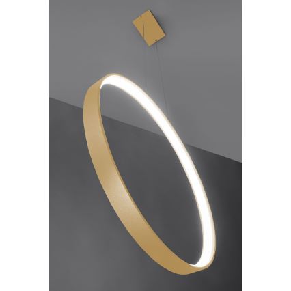 Thoro TH.221 - Светодиодная подвесная люстра RIO LED/30W/230V CRI 95 4000K диаметр 55 см золотистый
