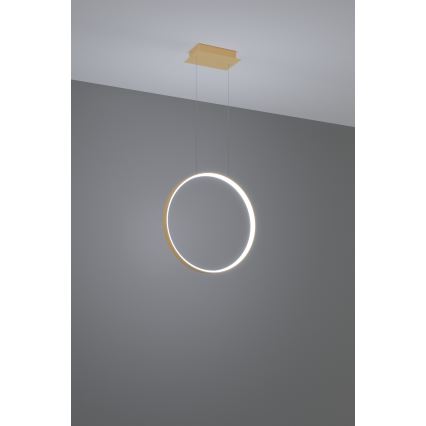 Thoro TH.221 - Світлодіодна підвісна люстра RIO LED/30W/230V CRI 95 4000K діаметр 55 см золотий