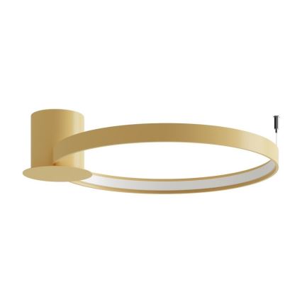 Thoro TH.222 - Стельовий LED світильник RIO LED/30W/230V CRI 90 3000K діаметр 55 см золотий